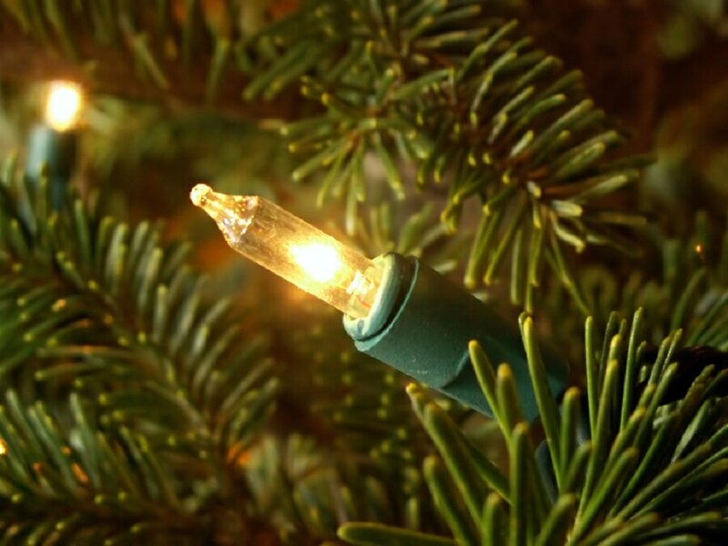 Lit Christmas Light on Tree