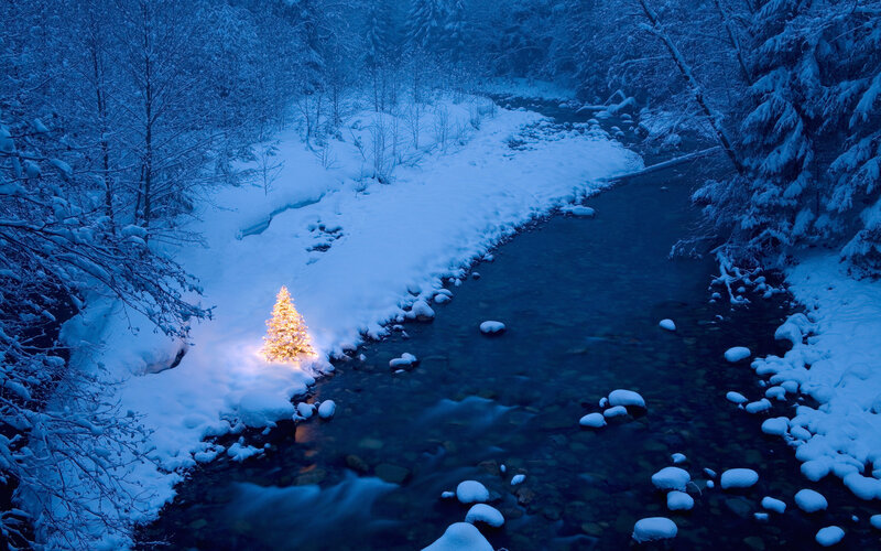 Lit Christmas Tree — Blue, Serene, Night, Photograph, River