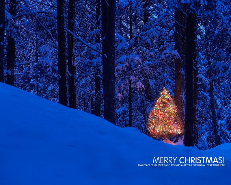 Lit Christmas Tree — Blue, Serene, Night