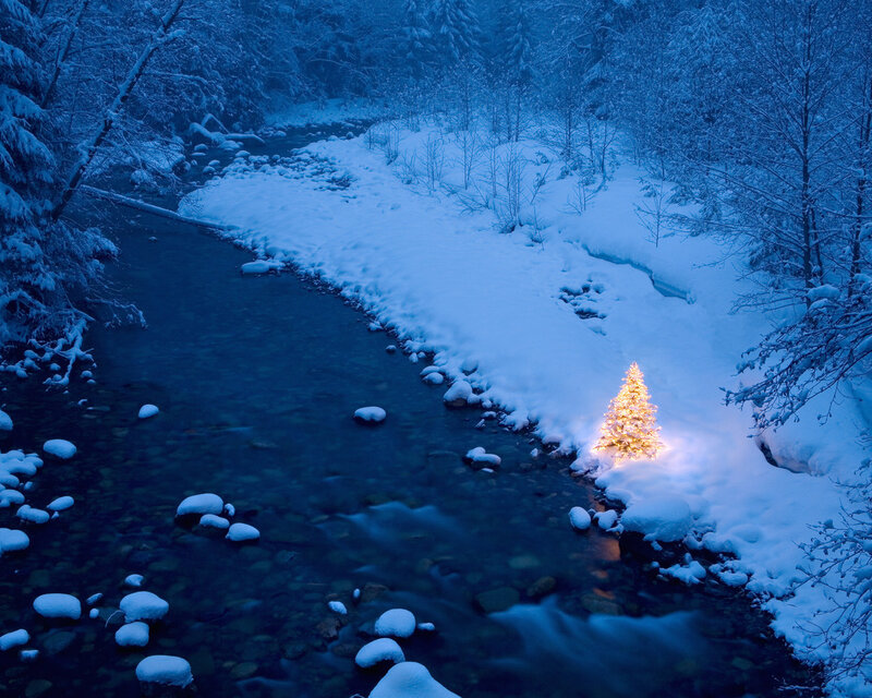 Lit Christmas Tree — Blue, Serene