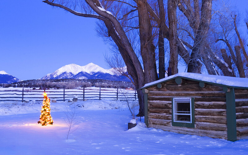 Lit Christmas Tree — Blue