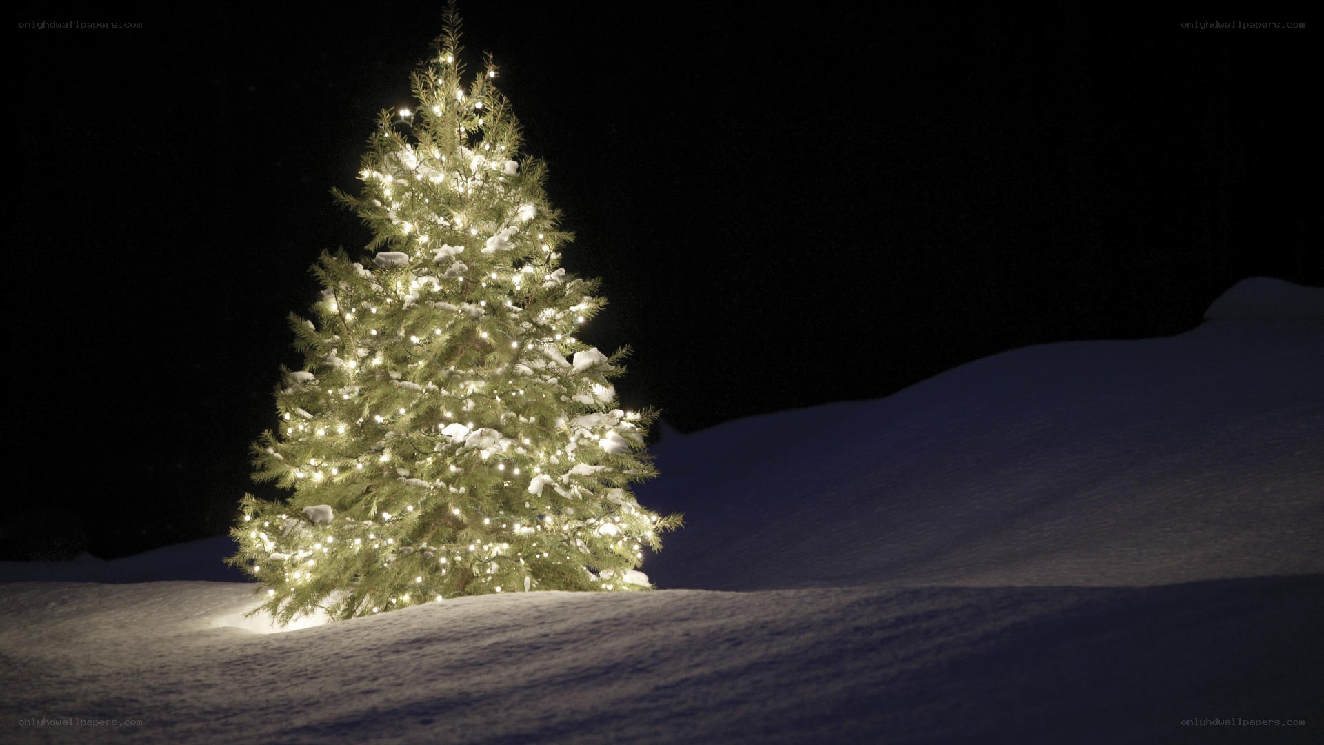 lit christmas tree in snow