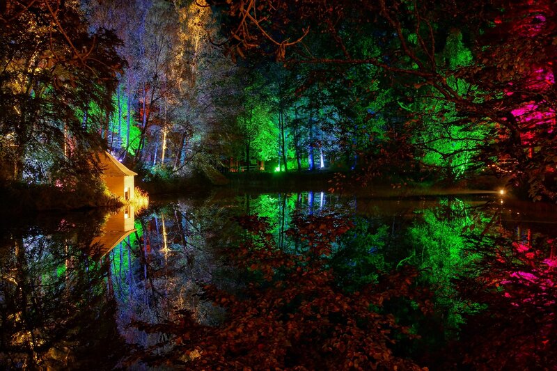 Lit Forest Pond