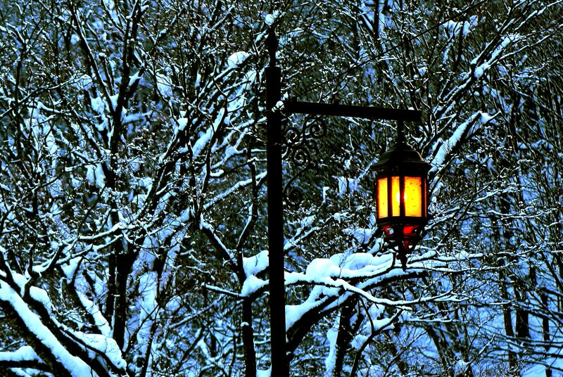 Lit Lantern in Snow — Black, Serene