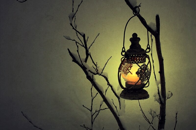 Lit Lantern on Branch