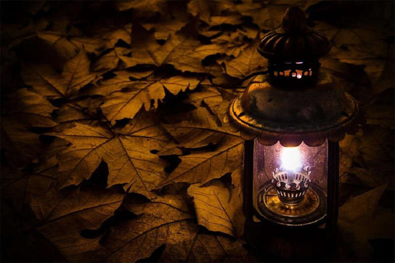 Lit Lantern on Leaves
