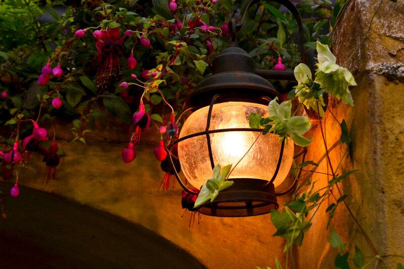 Lit Lantern with Flowers — Orange