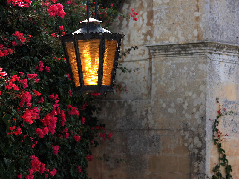 Lit Lantern with Flowers