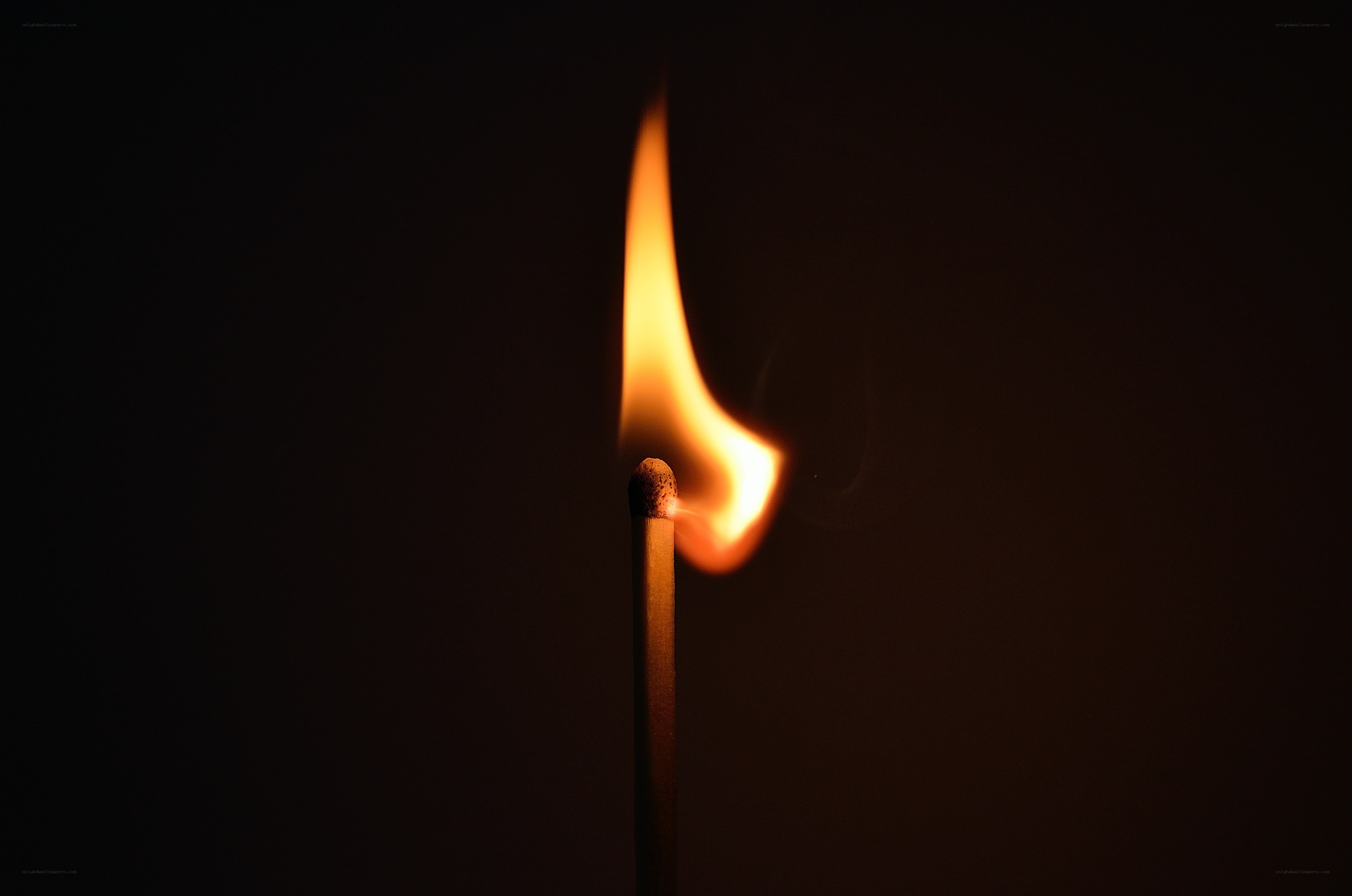 lit match in darkness
