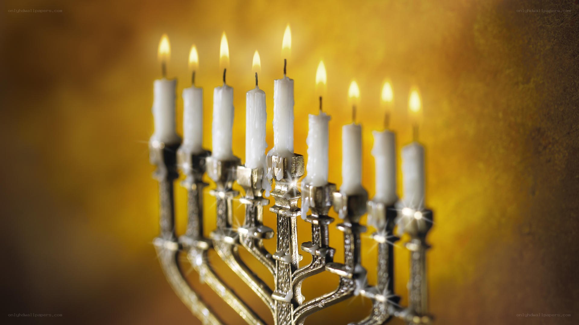 lit menorah candles