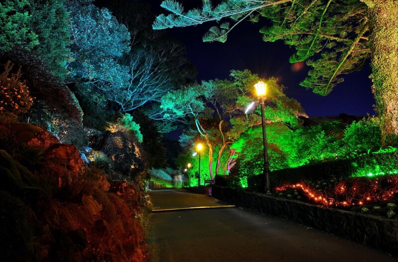 Lit Pathway in Garden