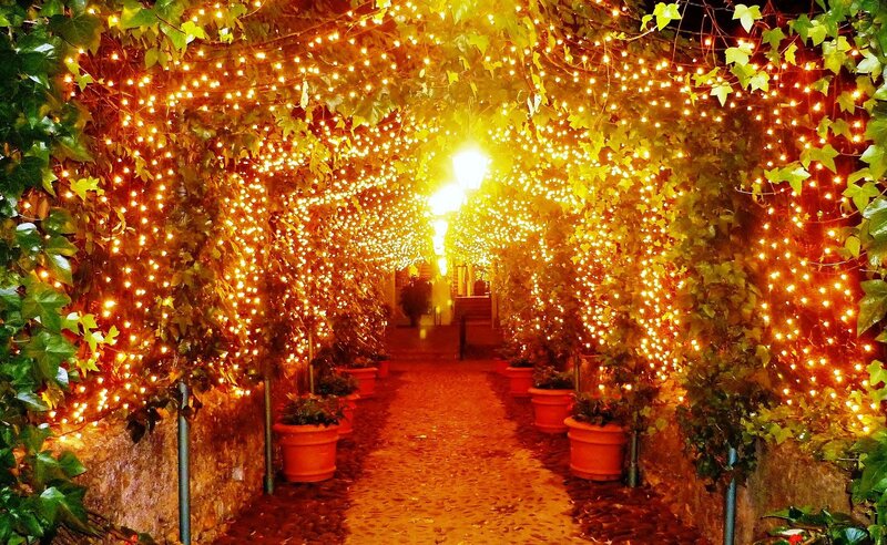 Lit Pathway under Vines