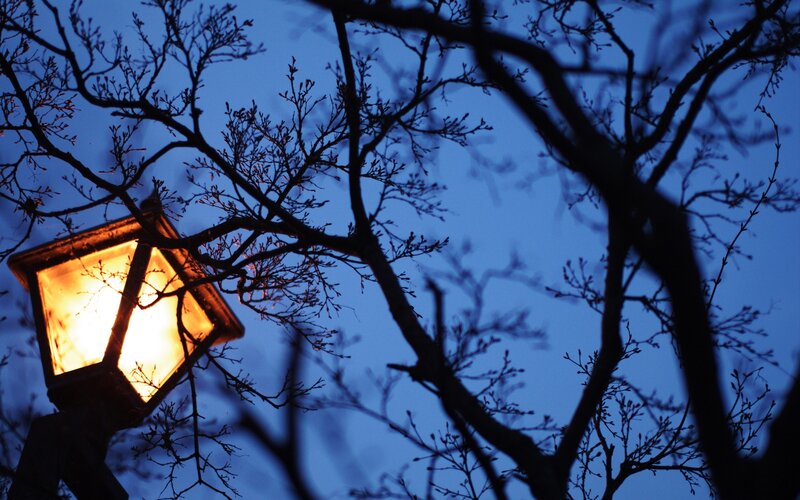 Lit Street Lamp at Dusk — Blue, Calm
