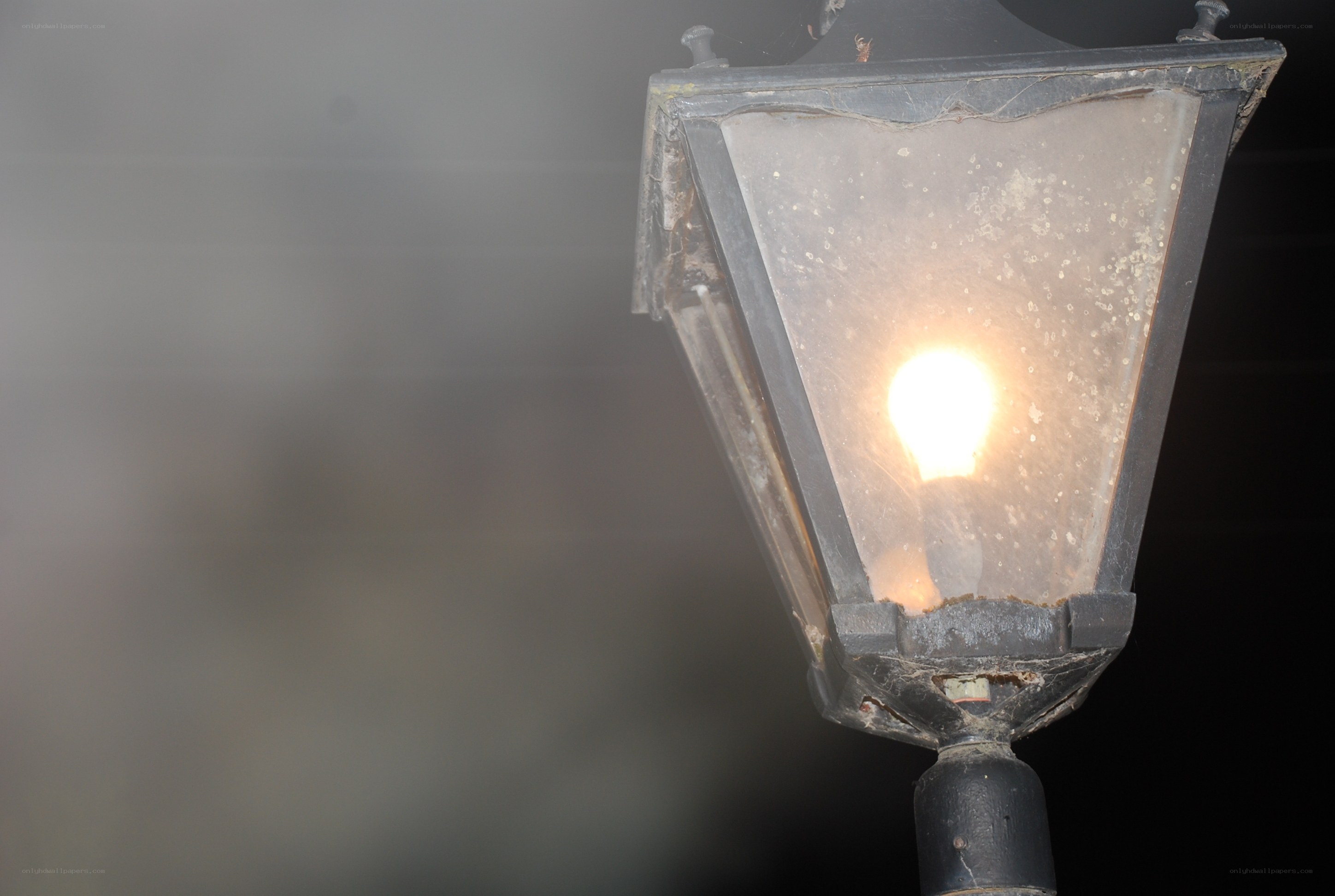 lit street lamp in fog