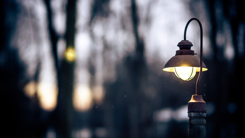 Lit Street Lamp in Forest