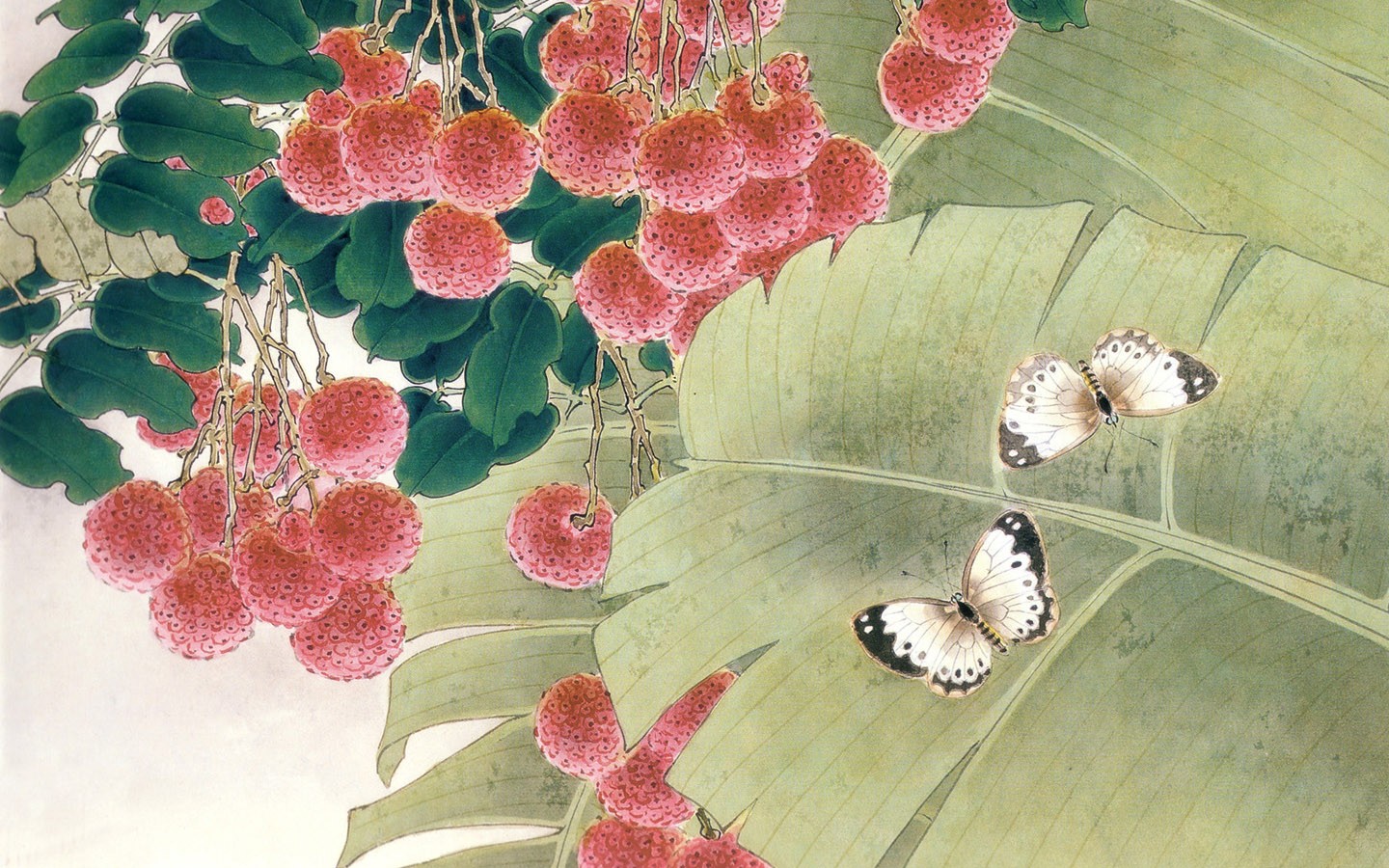 Litchi fruit with butterflies