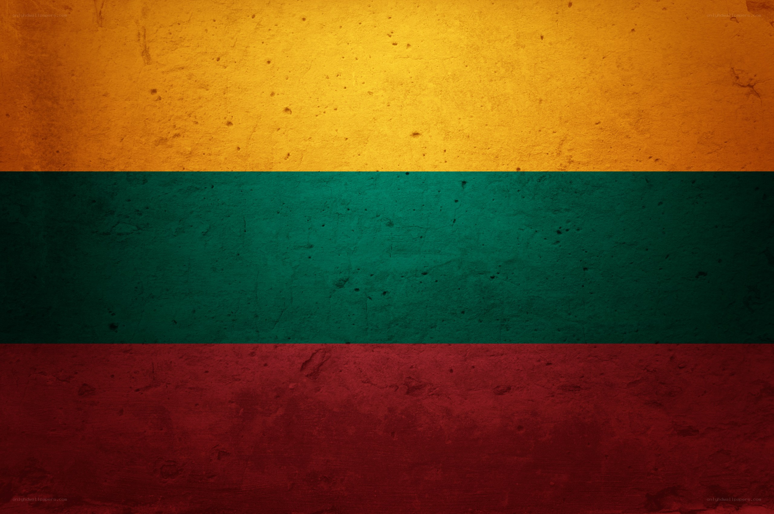 Lithuanian flag on textured wall
