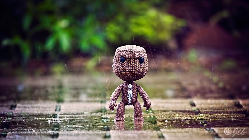 Little Big Planet Character