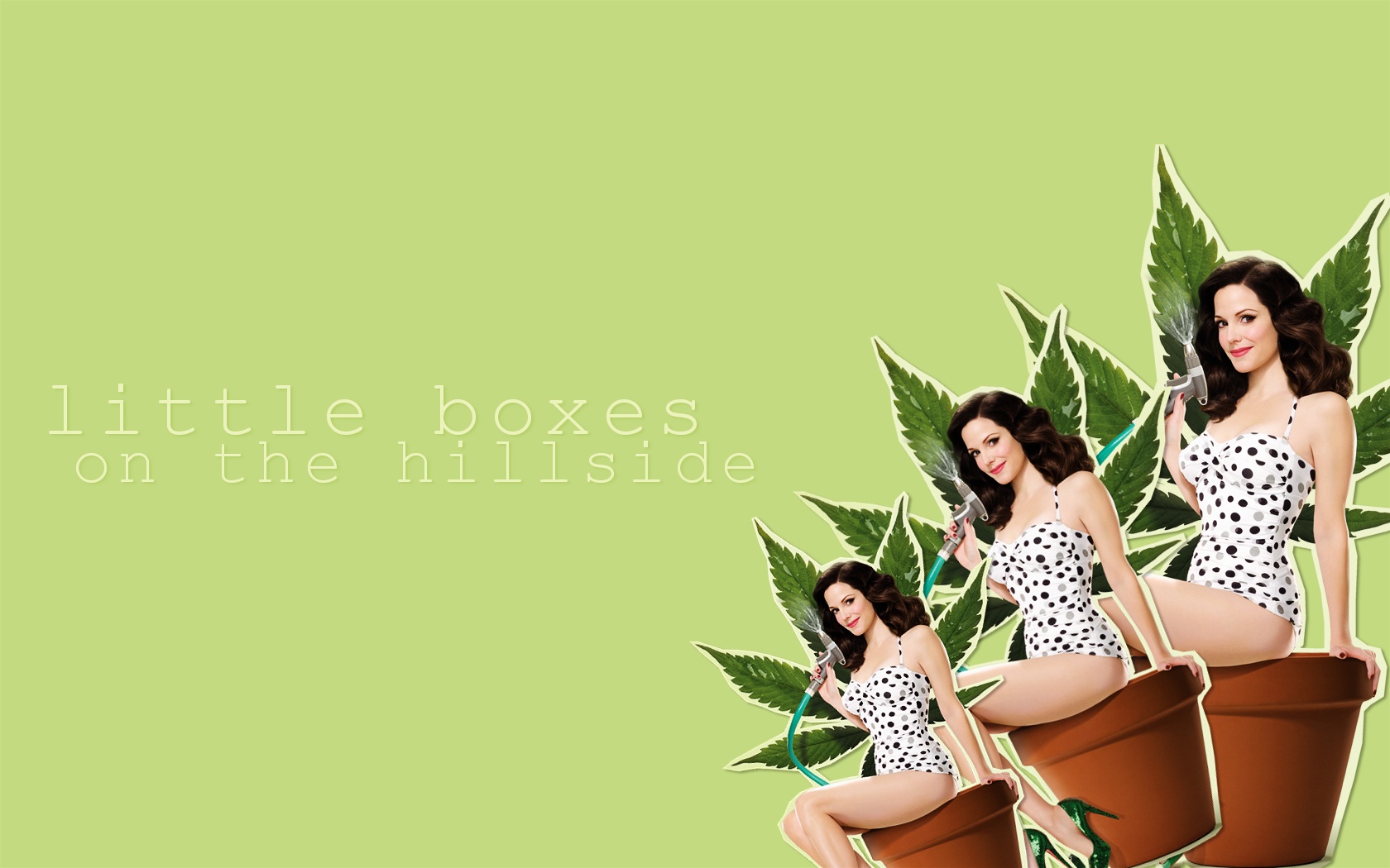 little boxes on the hillside