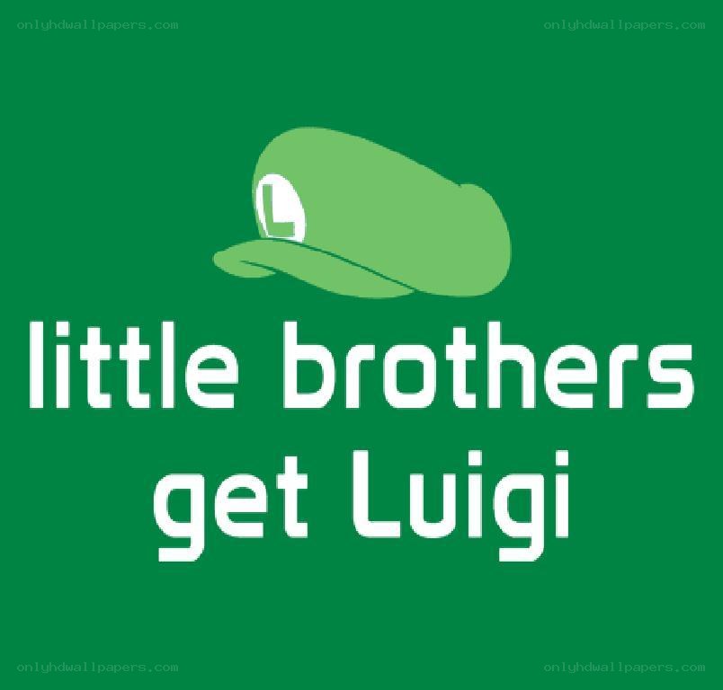 little brothers get luigi