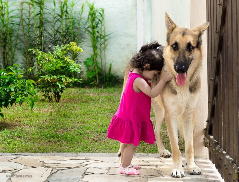 Little Girl Hugging Dog