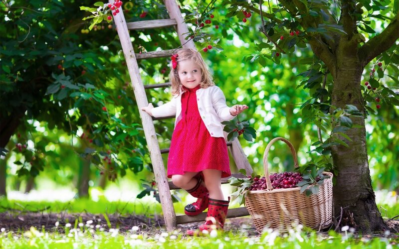 Little Girl in Cherry Orchard