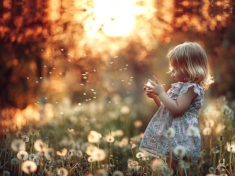 Little Girl in Field — Golden