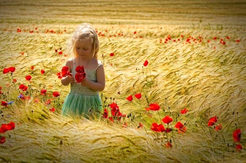 Little Girl in Field — Red