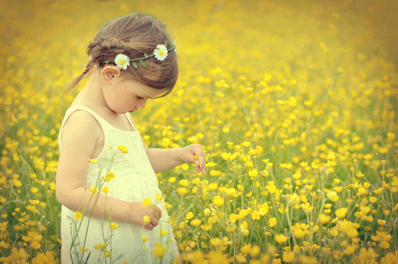 Little Girl in Field — Yellow, Serene, Afternoon, Photograph