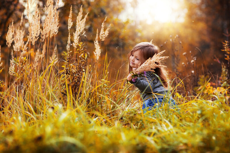 Little Girl in Field — Yellow, Serene, Autumn