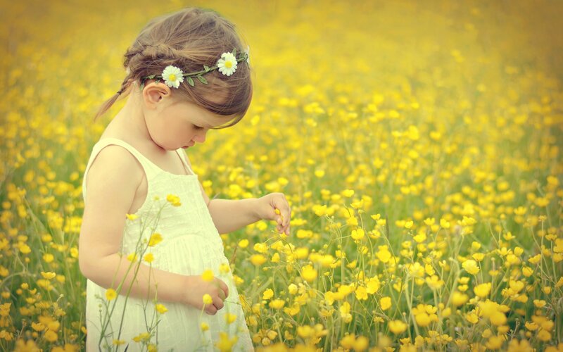 Little Girl in Field — Yellow, Serene, Spring