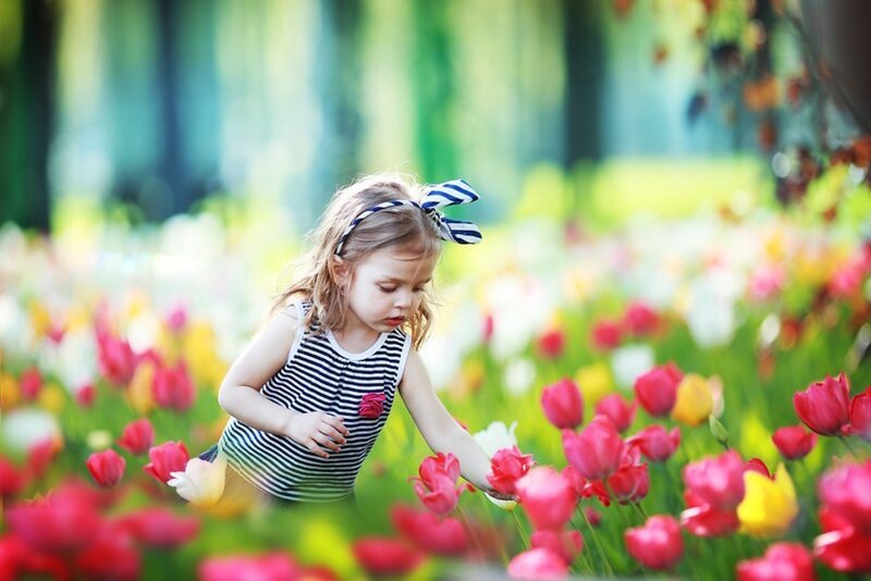 Little Girl in Flower Field