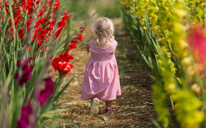 Little Girl in Garden — Red