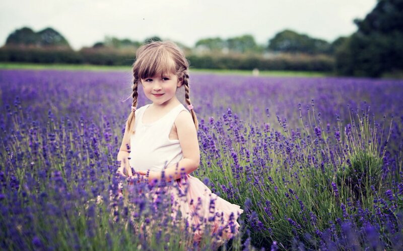 Little Girl in Lavender Field
