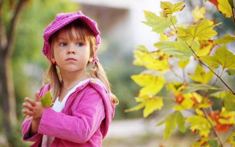 Little girl in pink with autumn leaves