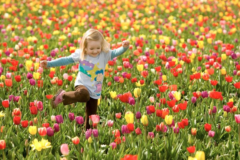 Little Girl in Tulip Field — Red
