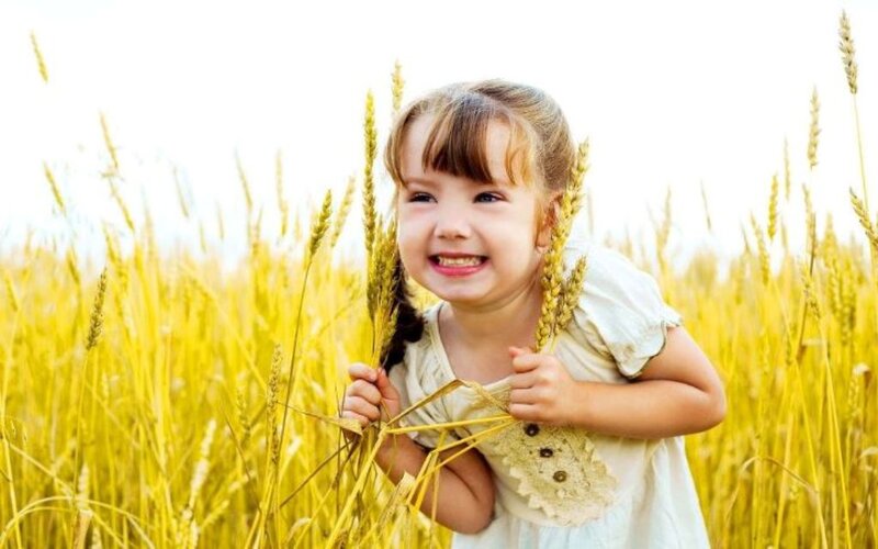 Little Girl in Wheat Field