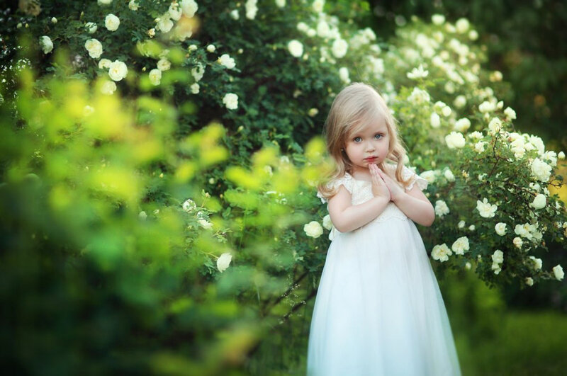 Little Girl in White Dress — Serene, Afternoon, Photograph, White Flowers, Green Foliage