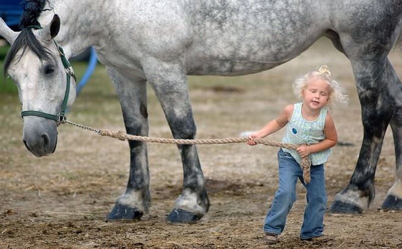 Little Girl Leading Horse