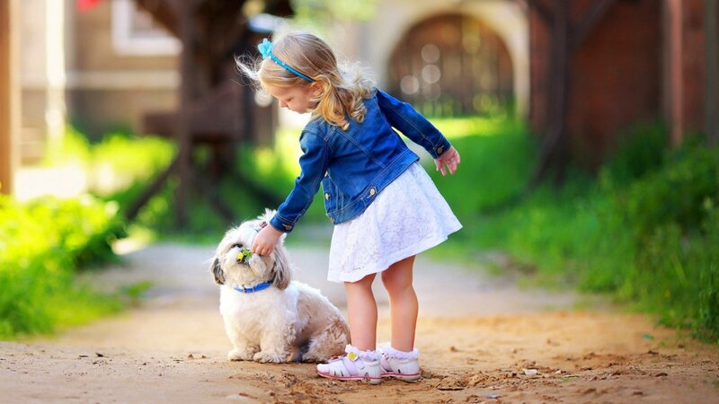 Little Girl Petting Dog — Blue