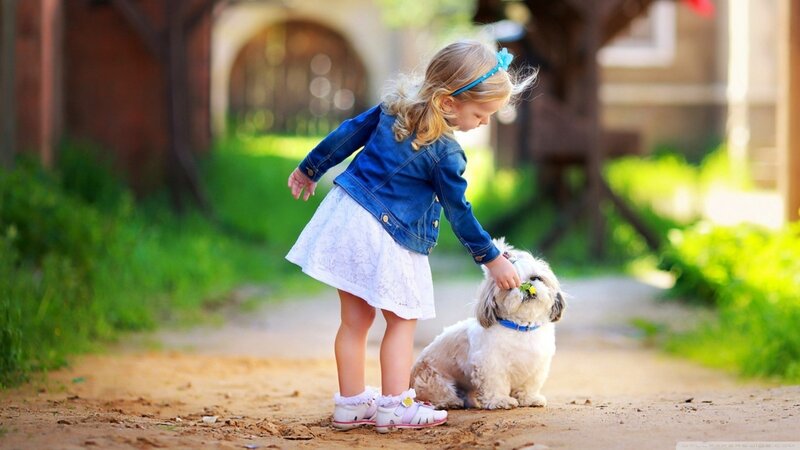 Little Girl Petting Dog — Green, Serene