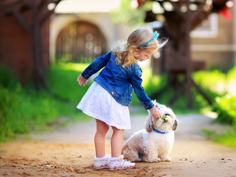 Little Girl Petting Dog