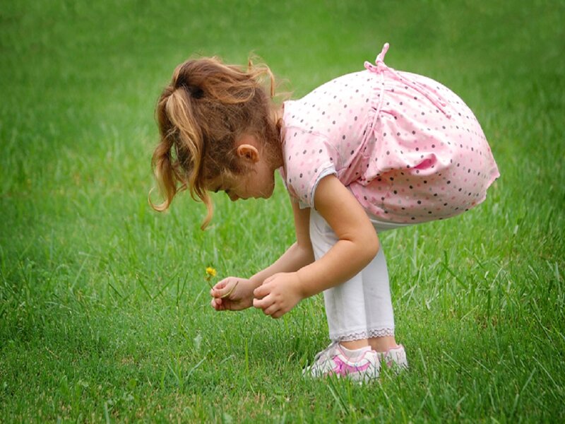 Little Girl Picking Flower