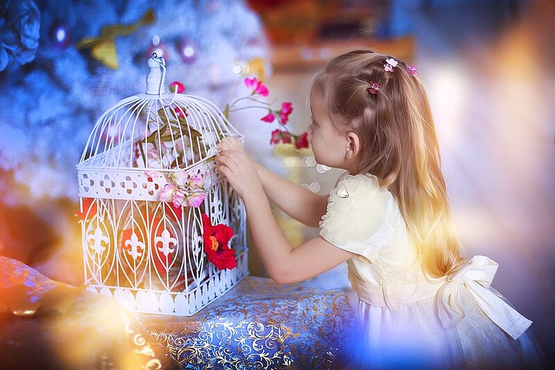 Little Girl with Birdcage
