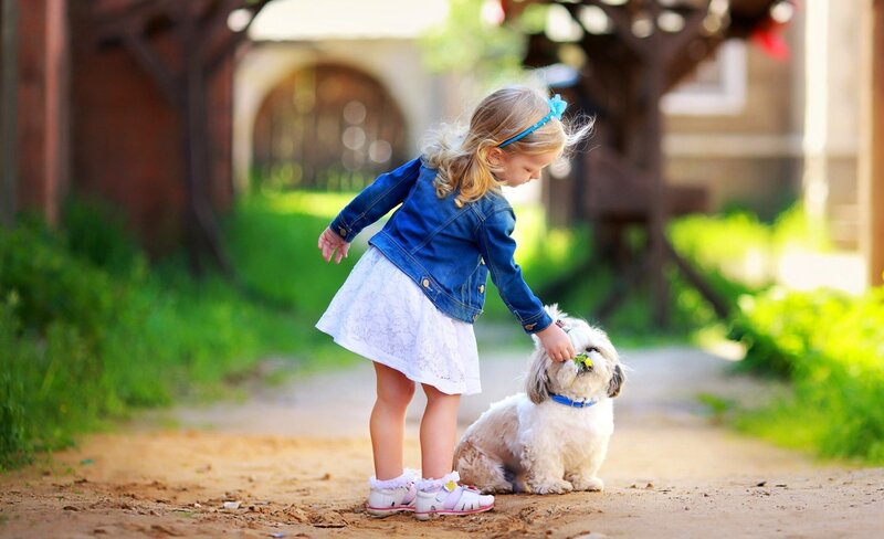 Little Girl with Dog — Blue