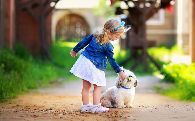 Little Girl with Dog