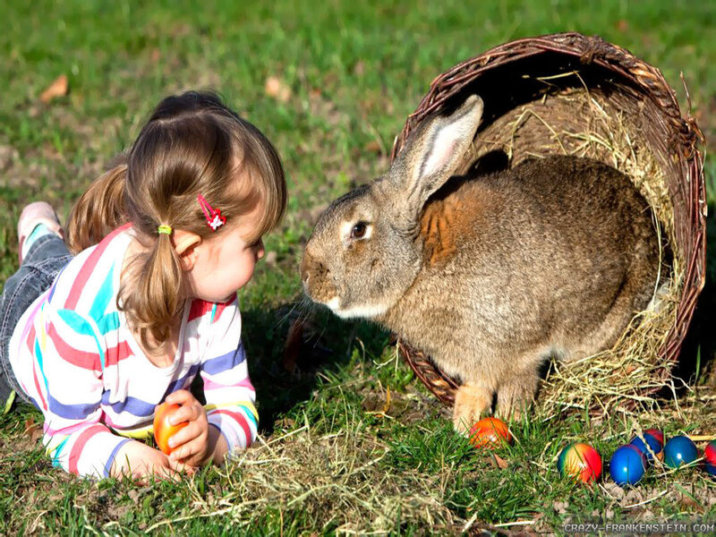 Little Girl with Rabbit — Green