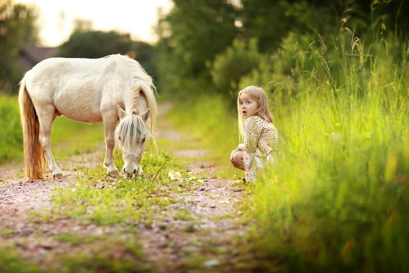 Little Girl with White Pony