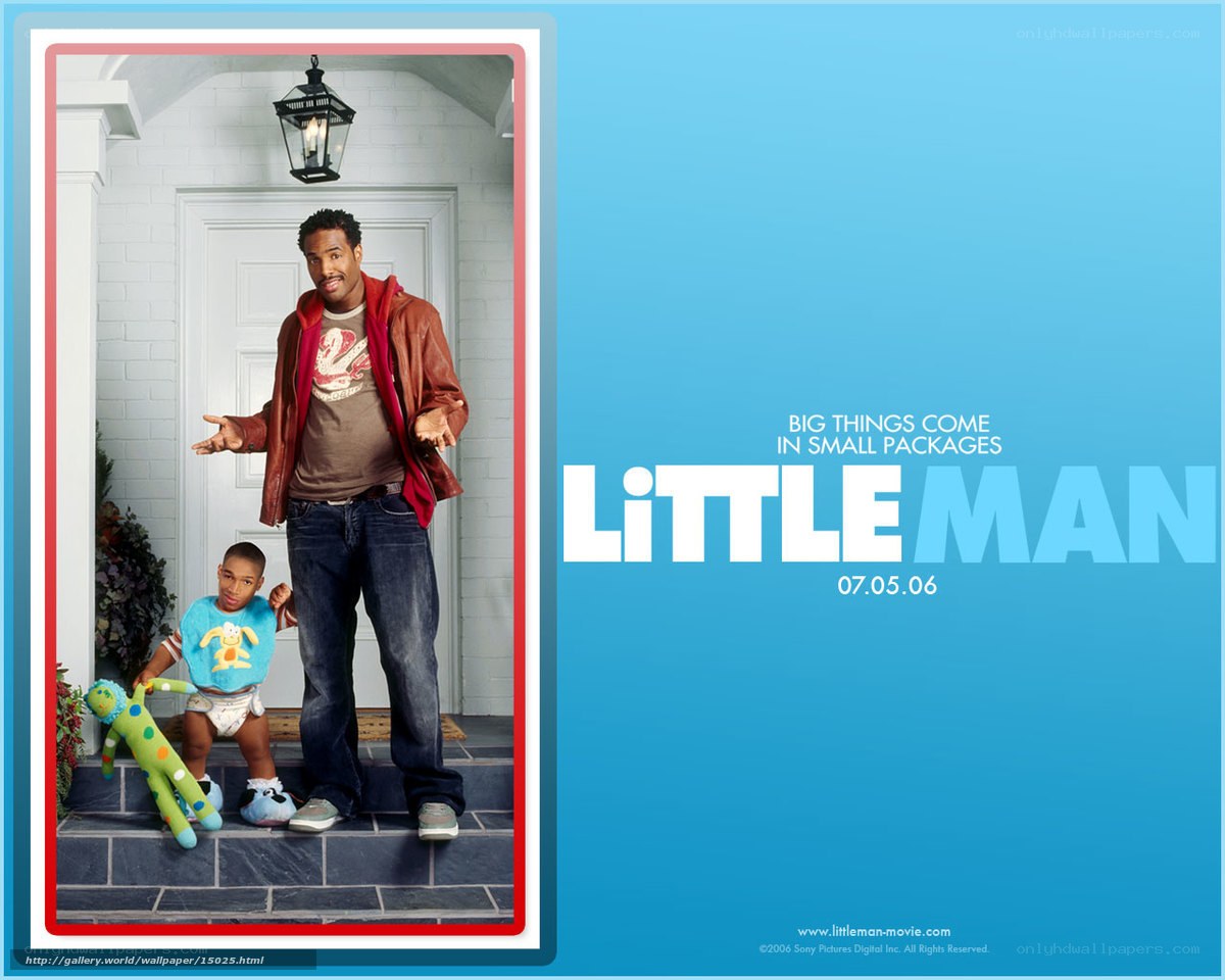 Little Man movie poster