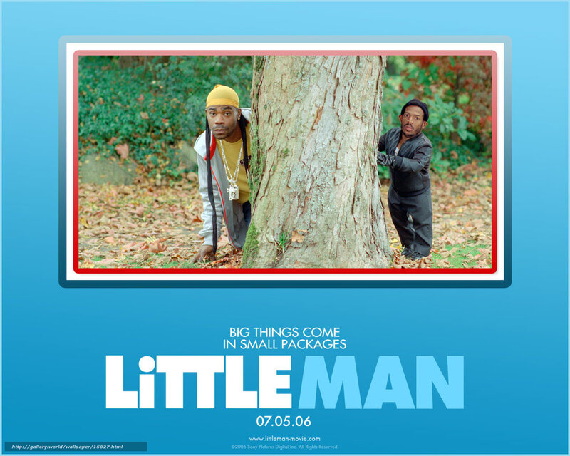 Little Man movie poster